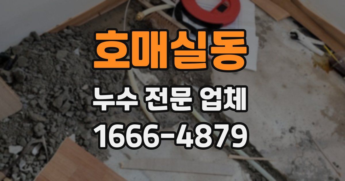 호매실동 누수 전문 업체