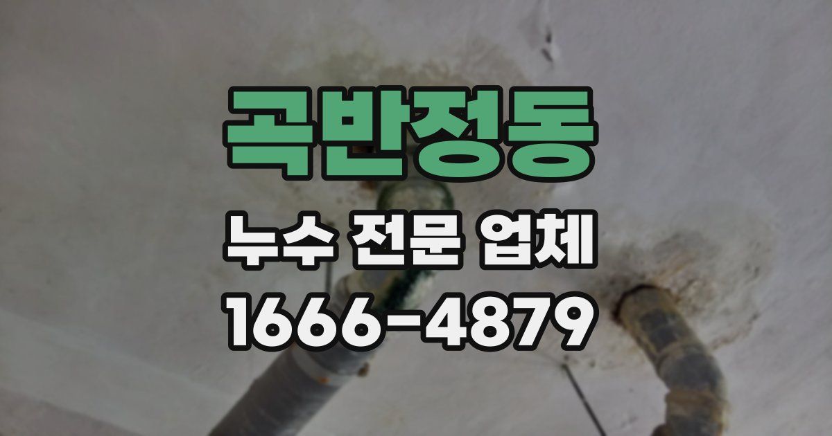 곡반정동 누수 전문 업체
