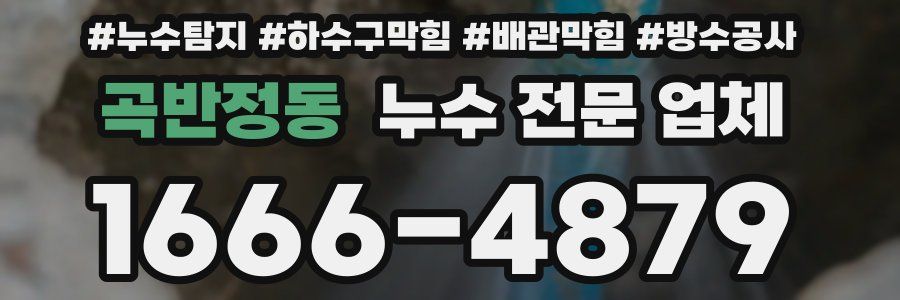 곡반정동 누수 전문 업체