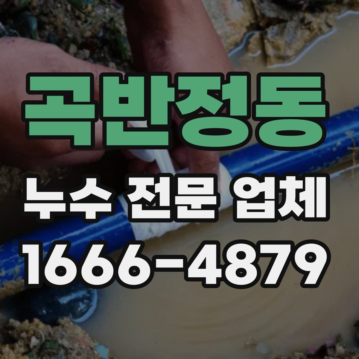 곡반정동 누수 전문 업체