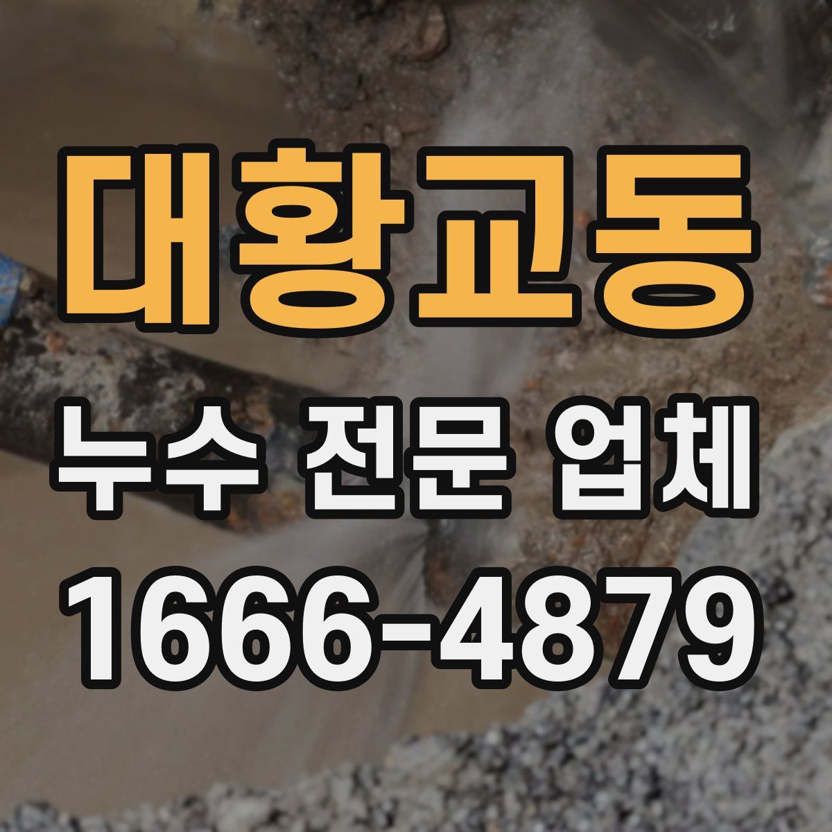 대황교동 누수 전문 업체