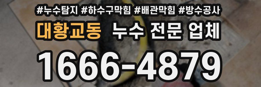 대황교동 누수 전문 업체