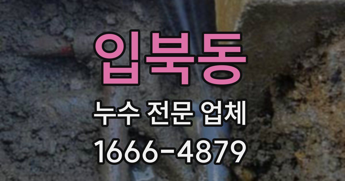 입북동 누수 전문 업체