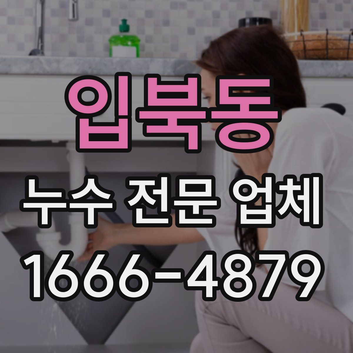 입북동 누수 전문 업체