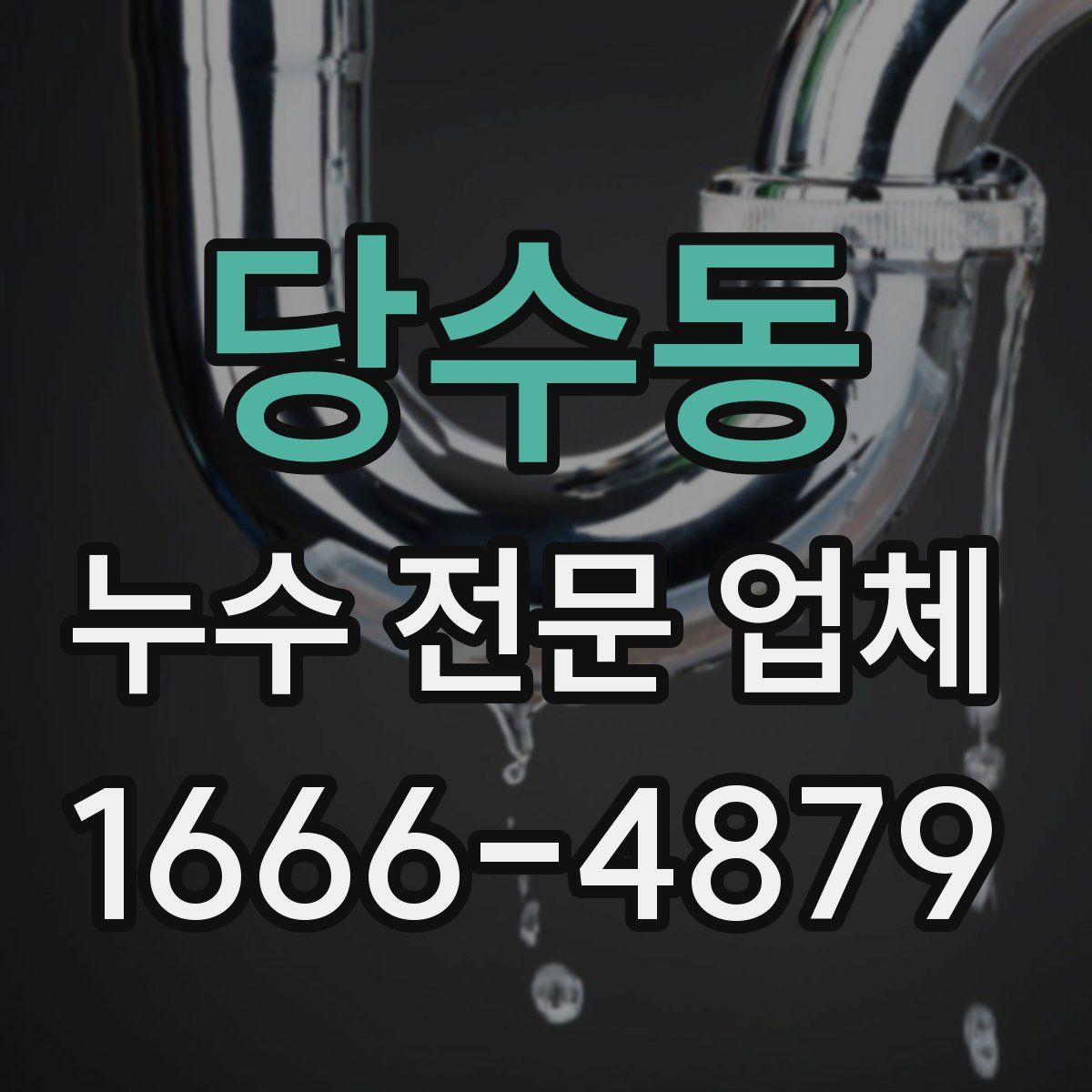 당수동 누수 전문 업체