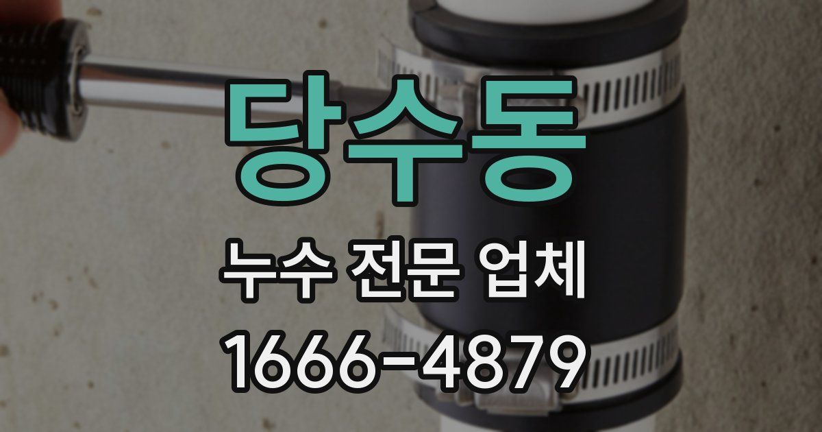 당수동 누수 전문 업체