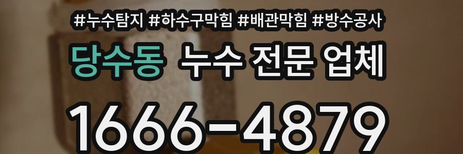 당수동 누수 전문 업체