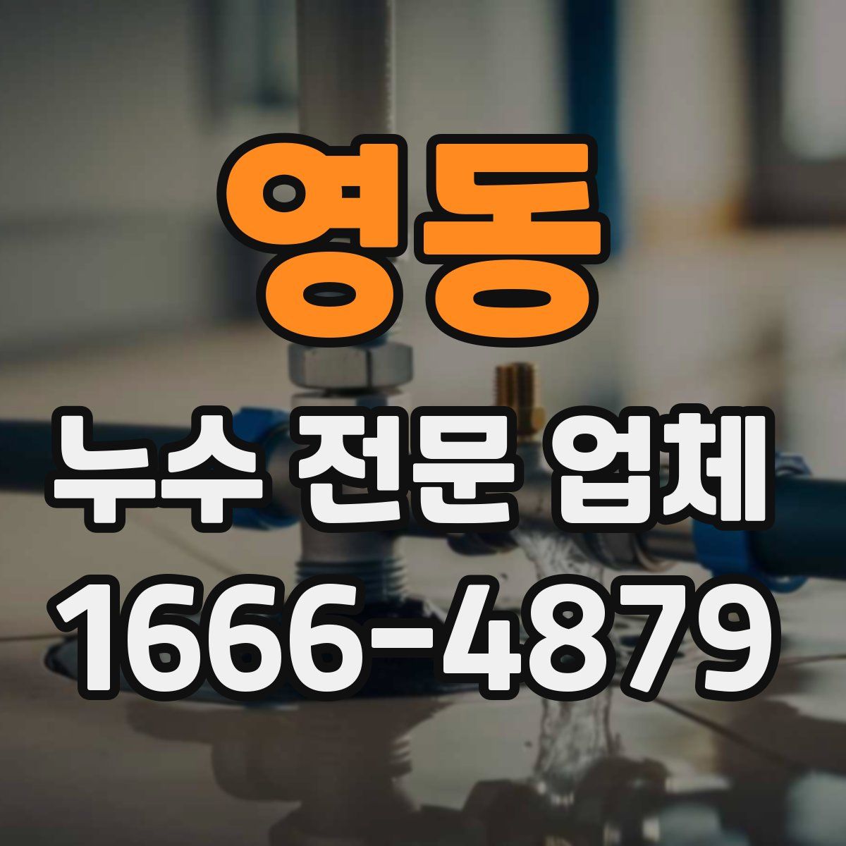 영동 누수 전문 업체