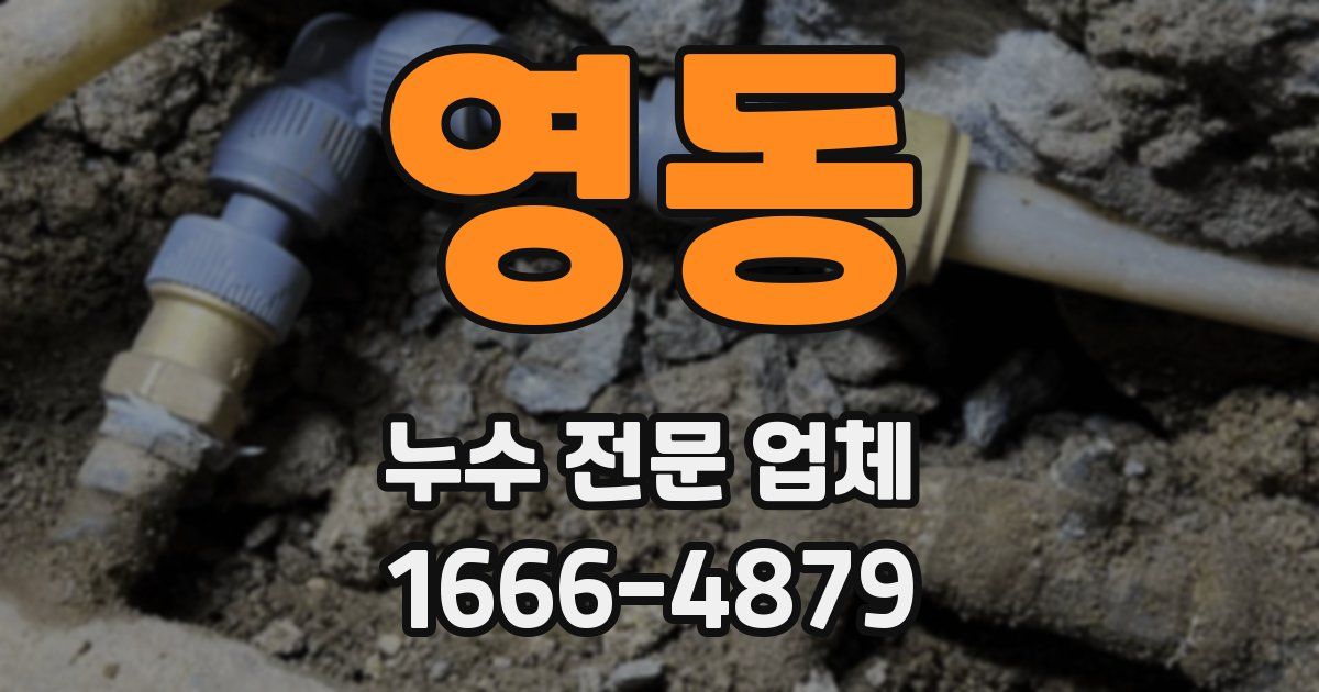 영동 누수 전문 업체