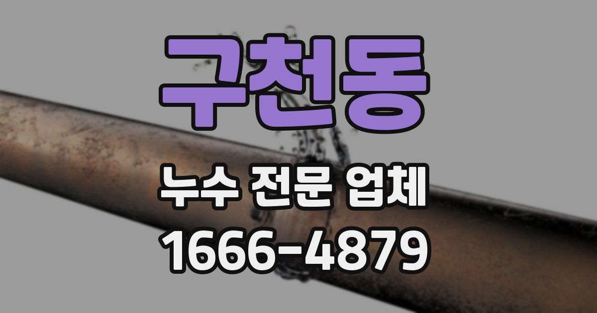 구천동 누수 전문 업체