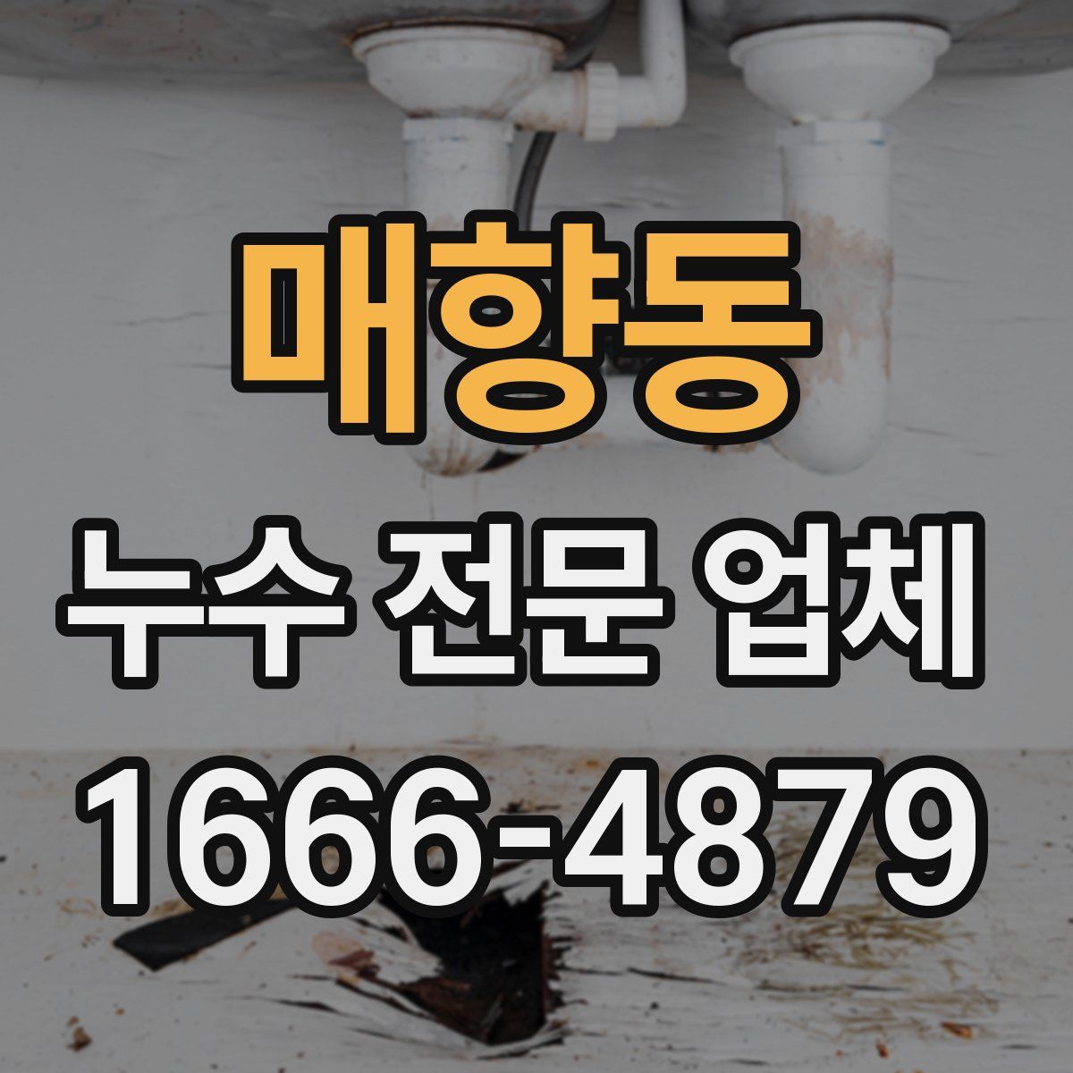 매향동 누수 전문 업체