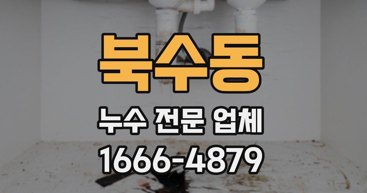 북수동 누수 전문 업체