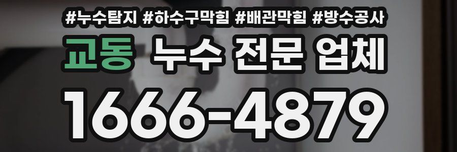 교동 누수 전문 업체