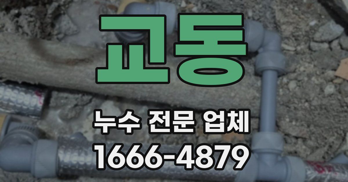 교동 누수 전문 업체