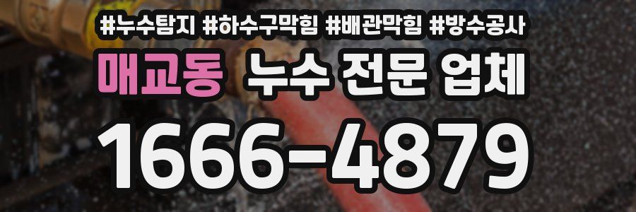 매교동 누수 전문 업체