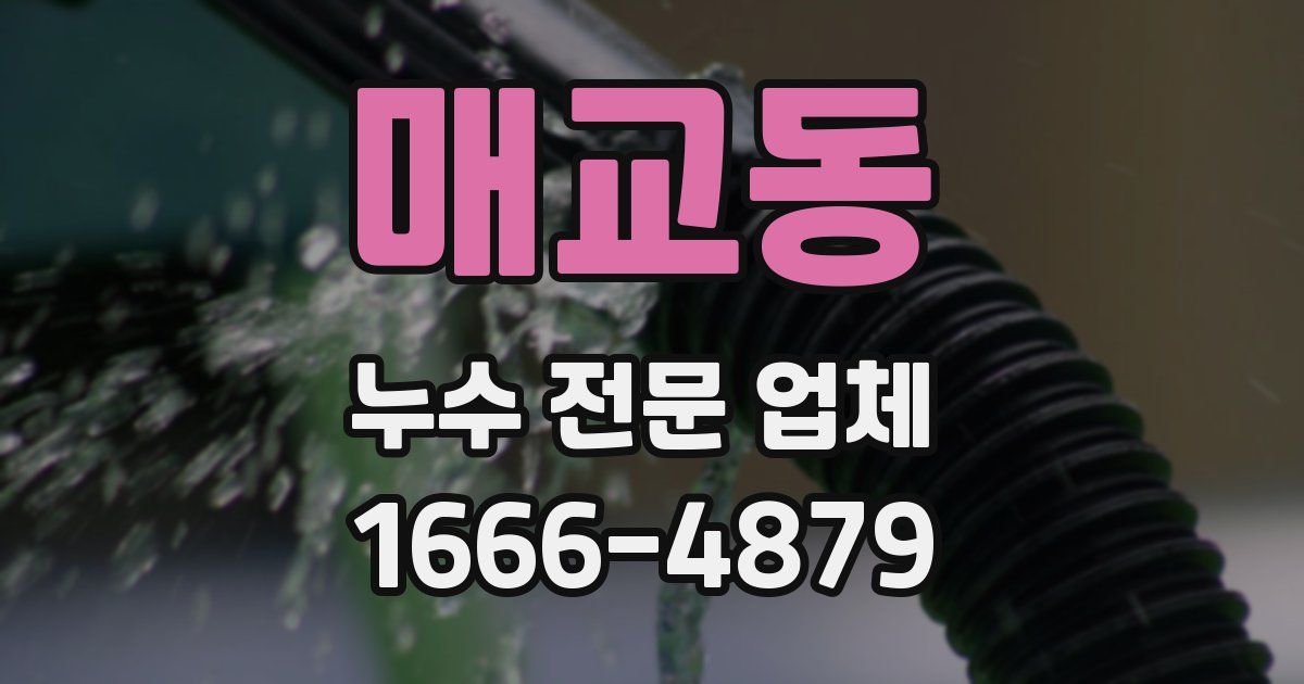 매교동 누수 전문 업체