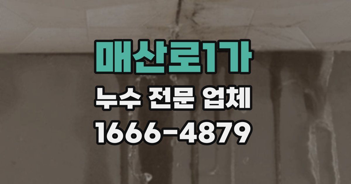 매산로1가 누수 전문 업체
