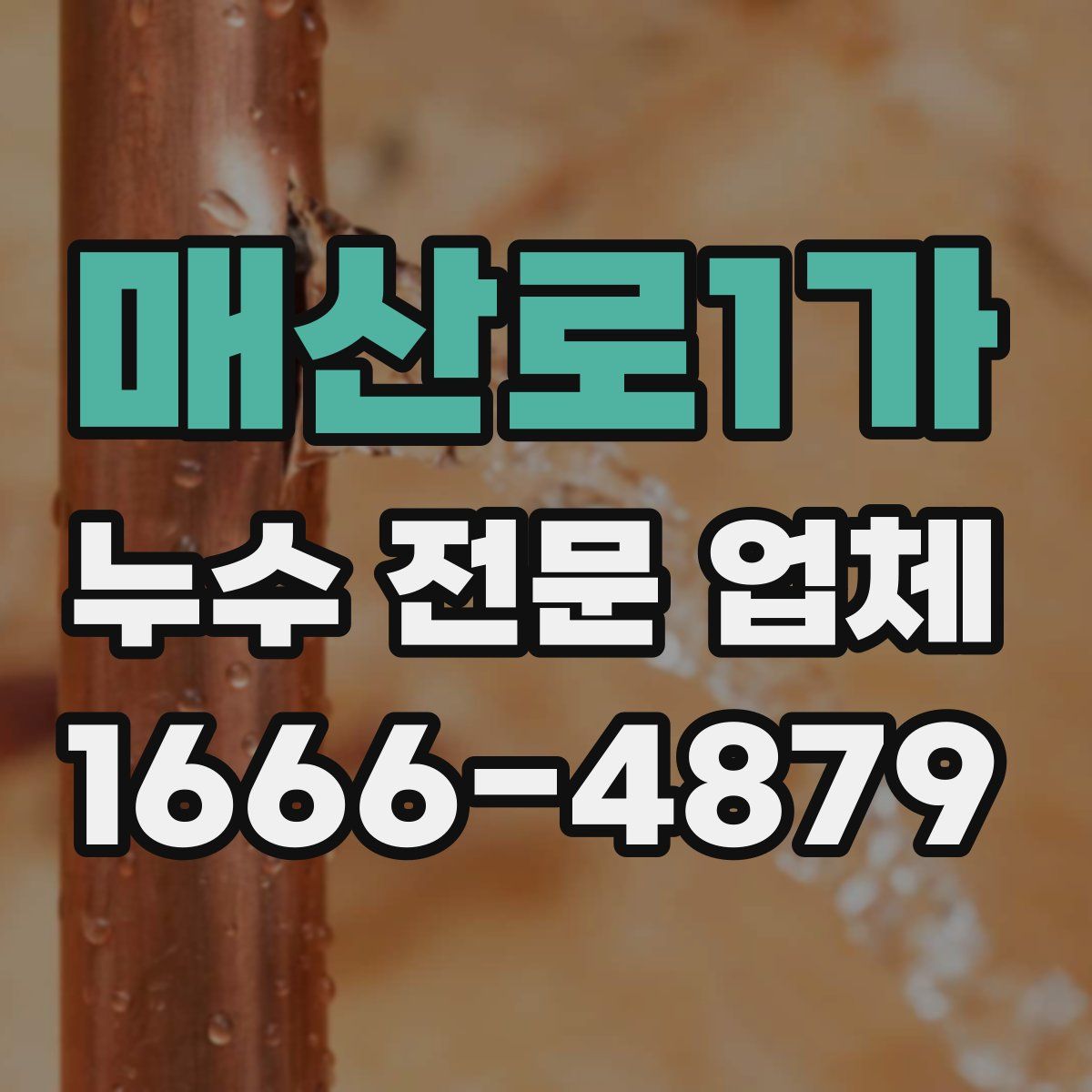 매산로1가 누수 전문 업체