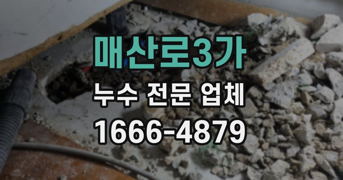 매산로3가 누수 전문 업체