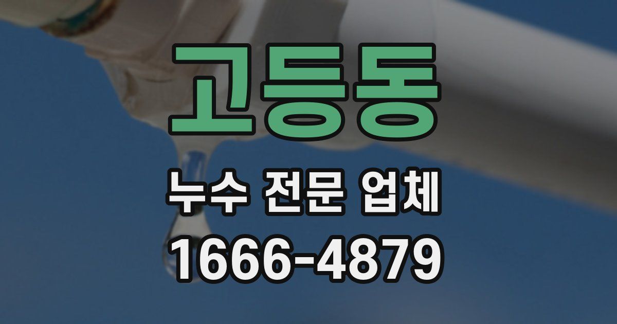 고등동 누수 전문 업체