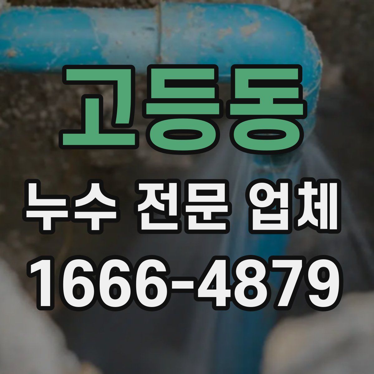 고등동 누수 전문 업체