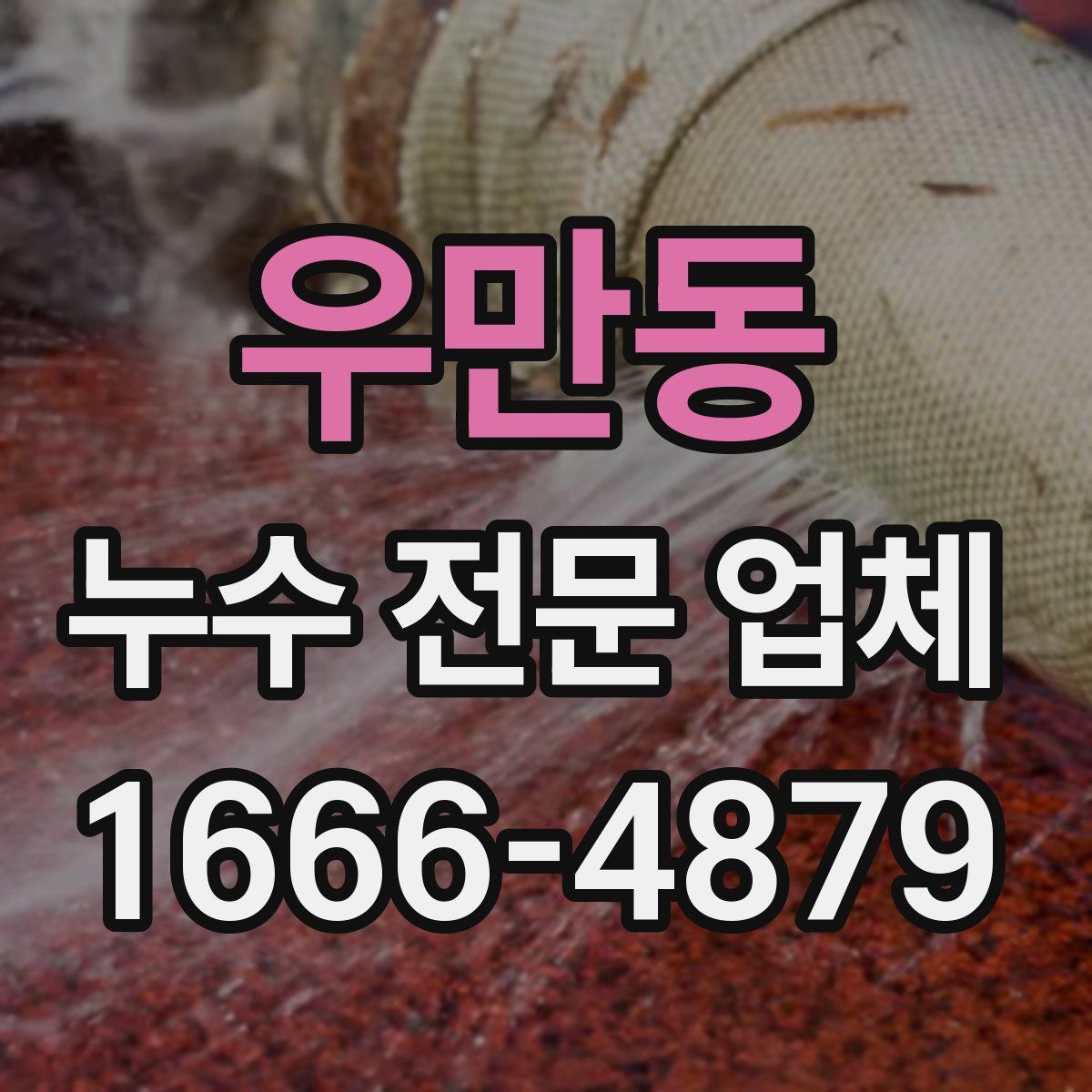 우만동 누수 전문 업체