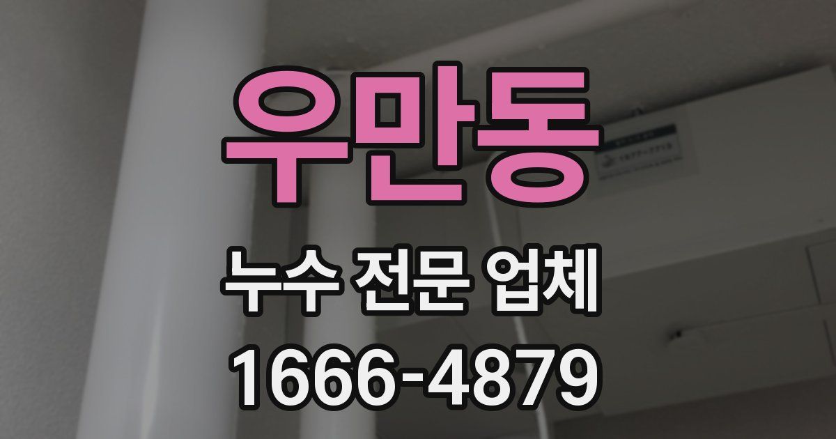 우만동 누수 전문 업체