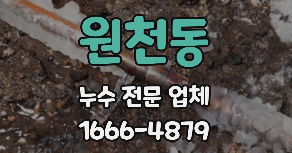 원천동 누수 전문 업체