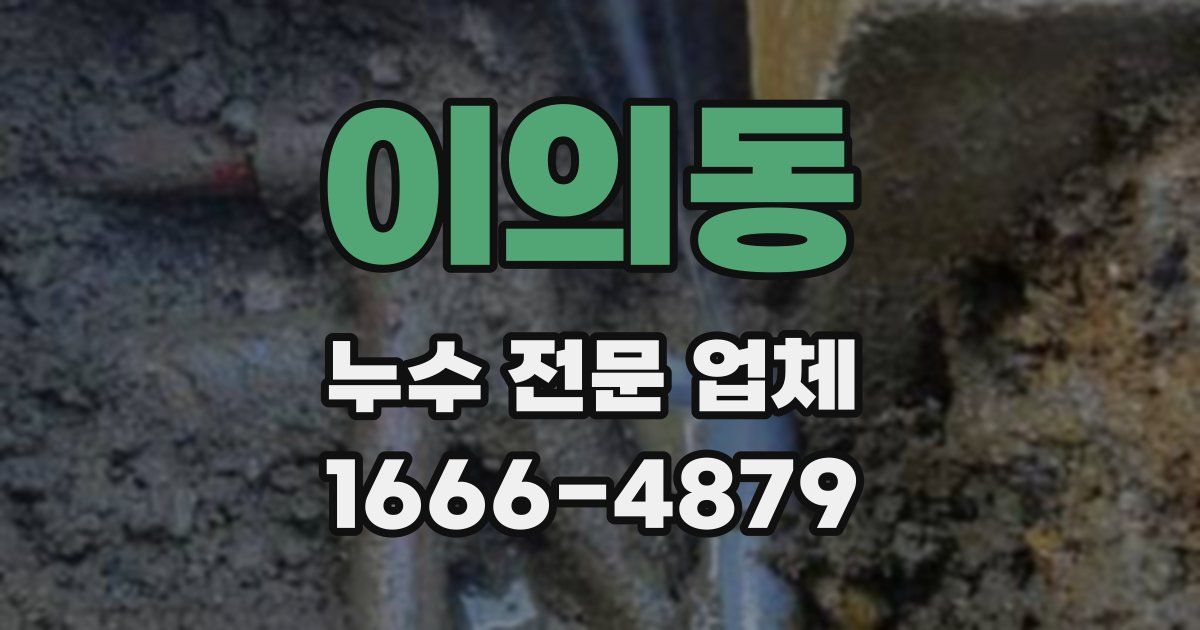 이의동 누수 전문 업체