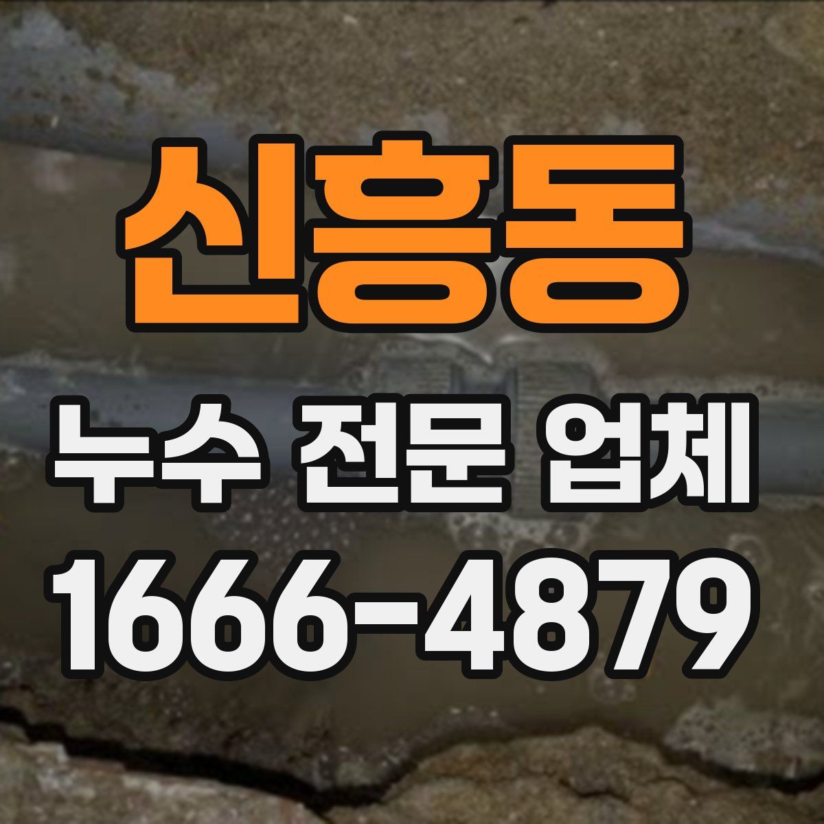 신흥동 누수 전문 업체