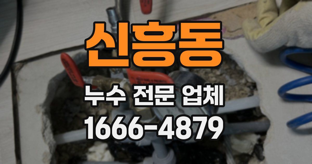 신흥동 누수 전문 업체