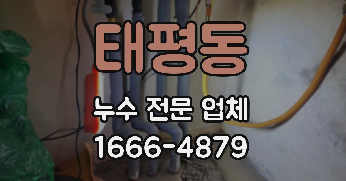 태평동 누수 전문 업체