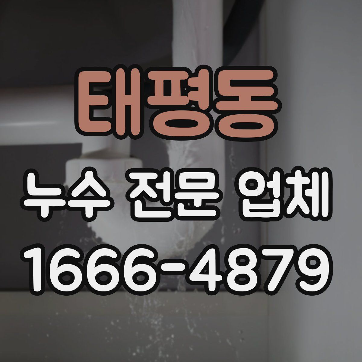 태평동 누수 전문 업체