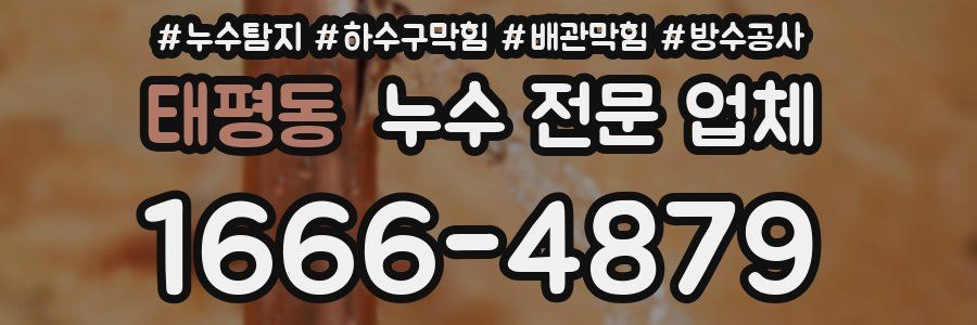 태평동 누수 전문 업체