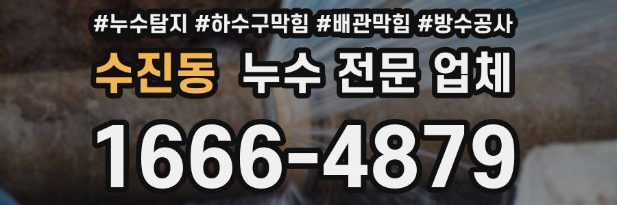 수진동 누수 전문 업체