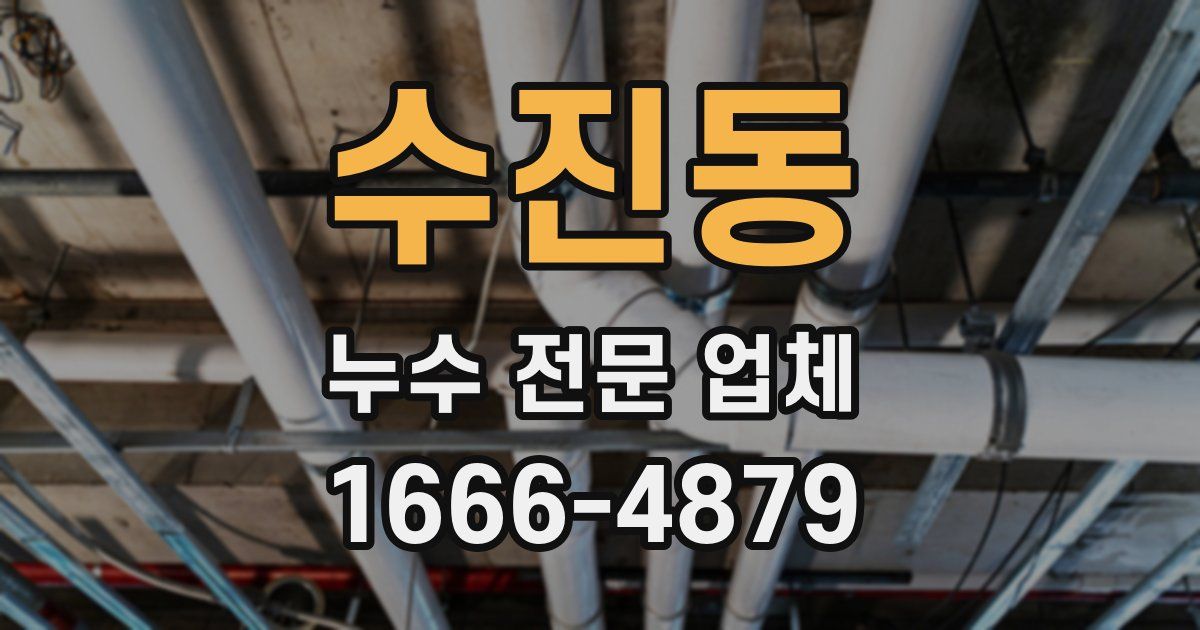 수진동 누수 전문 업체
