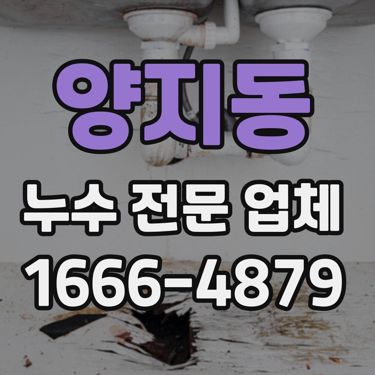 양지동 누수 전문 업체
