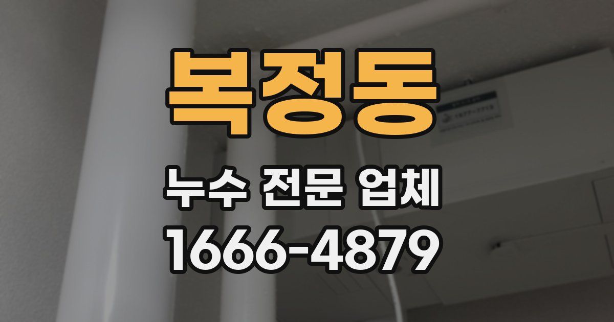 복정동 누수 전문 업체