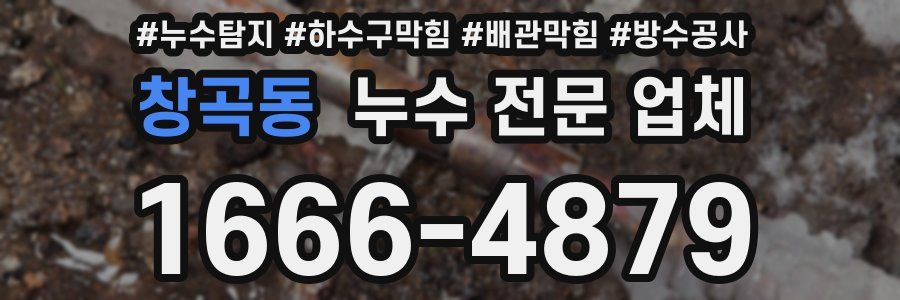 창곡동 누수 전문 업체