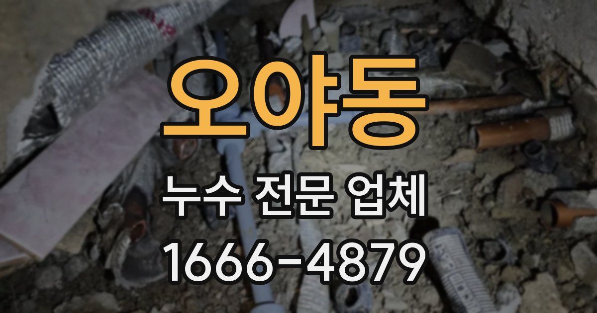 오야동 누수 전문 업체