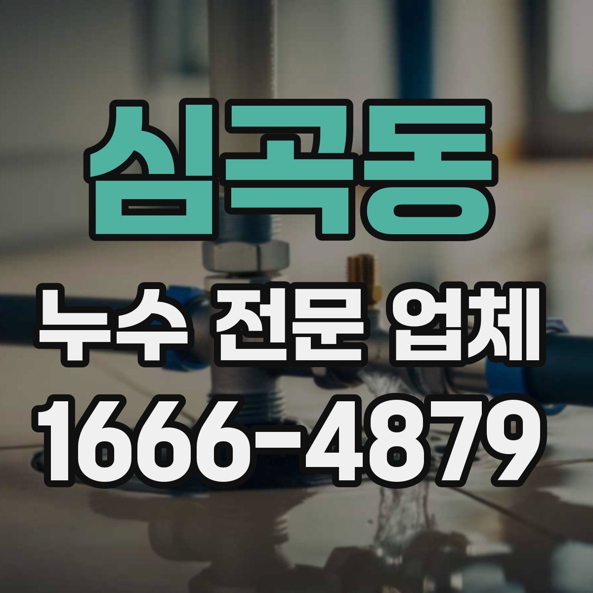 심곡동 누수 전문 업체
