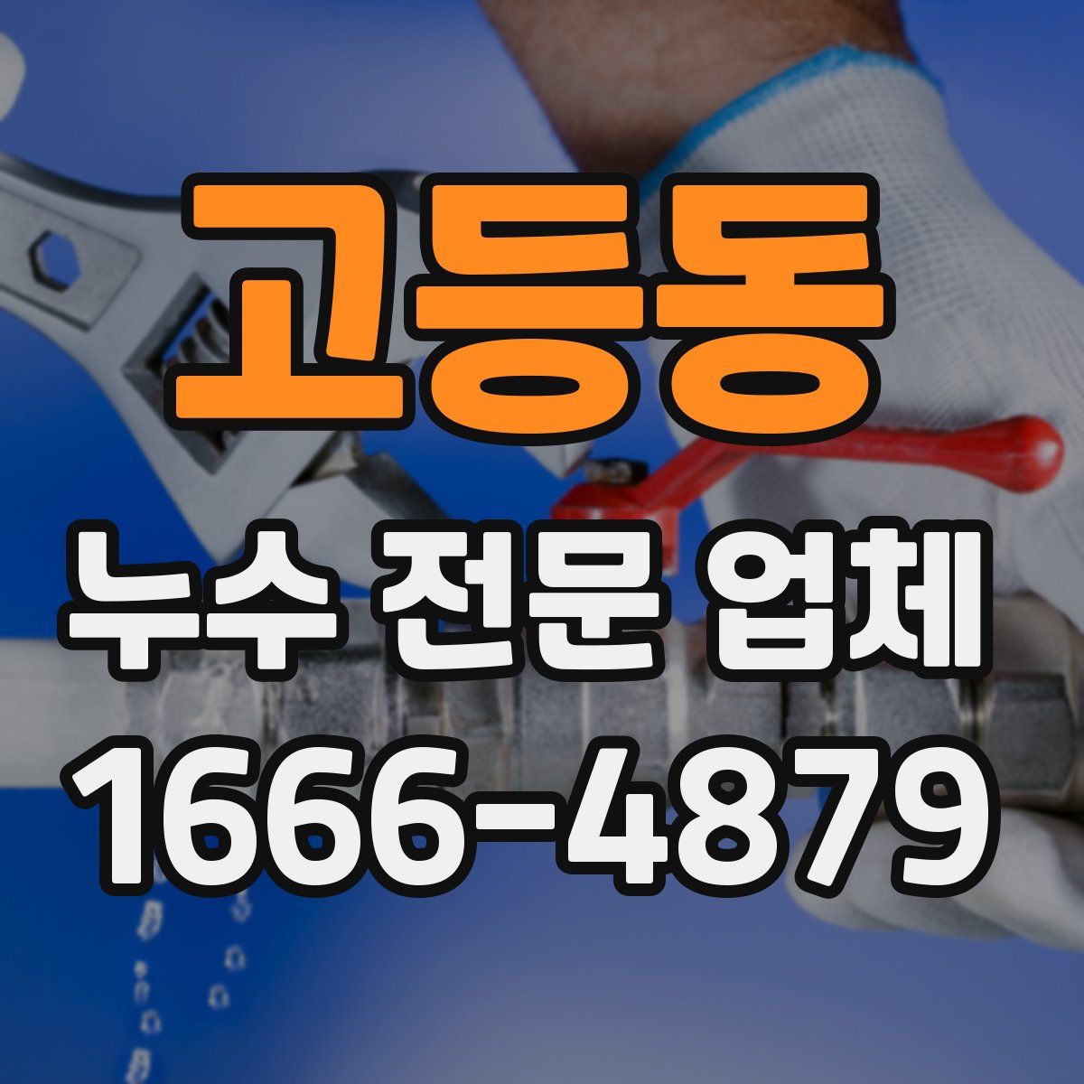 고등동 누수 전문 업체