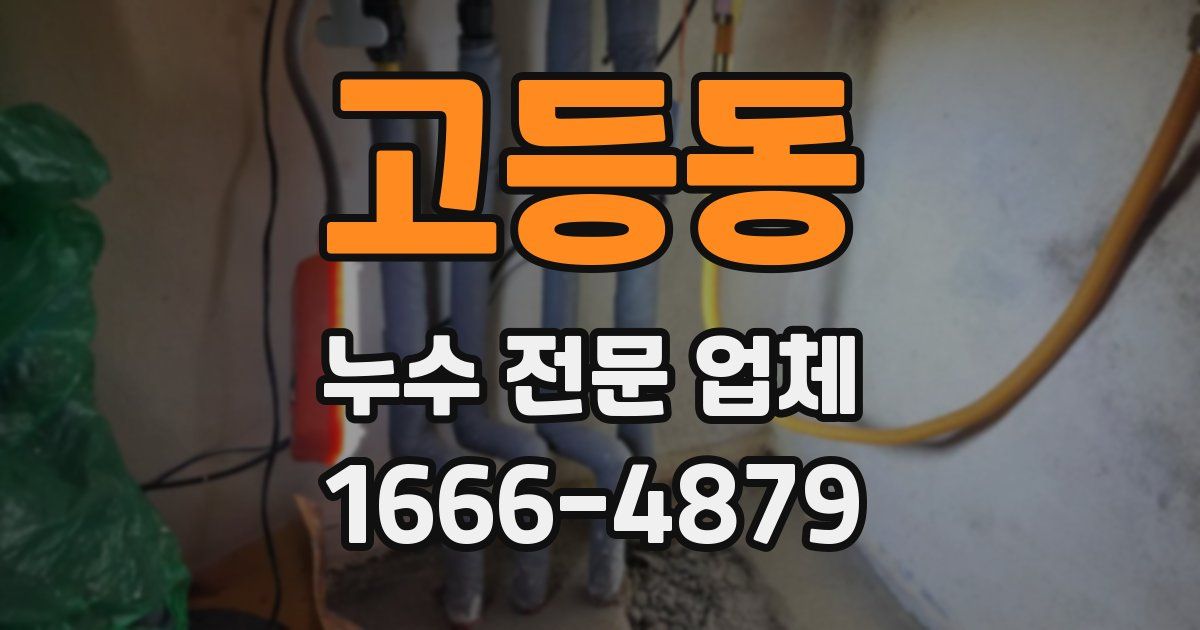 고등동 누수 전문 업체