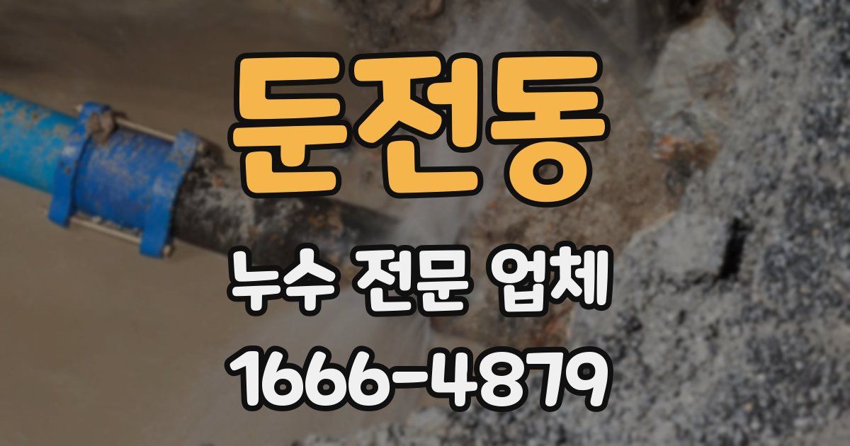 둔전동 누수 전문 업체