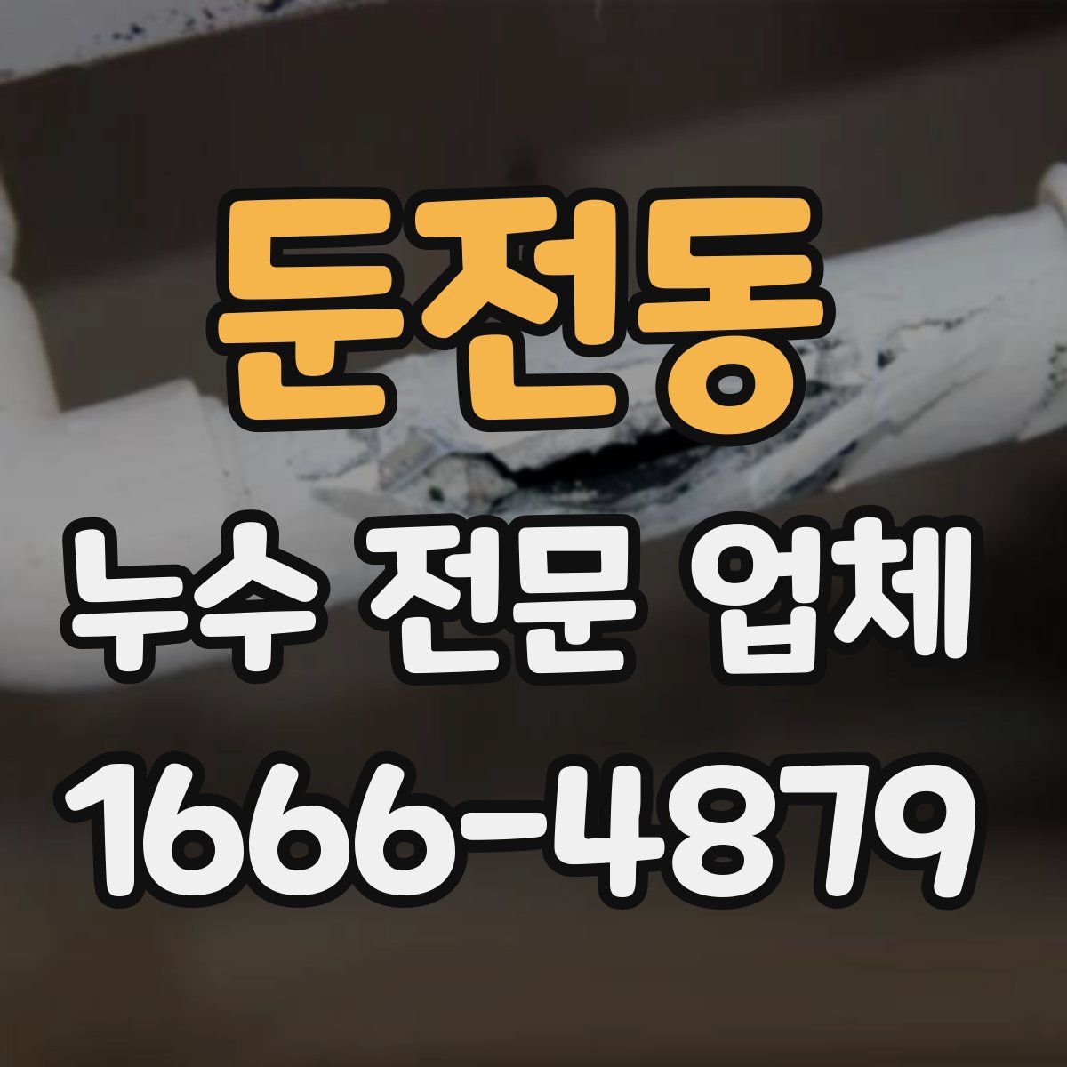 둔전동 누수 전문 업체
