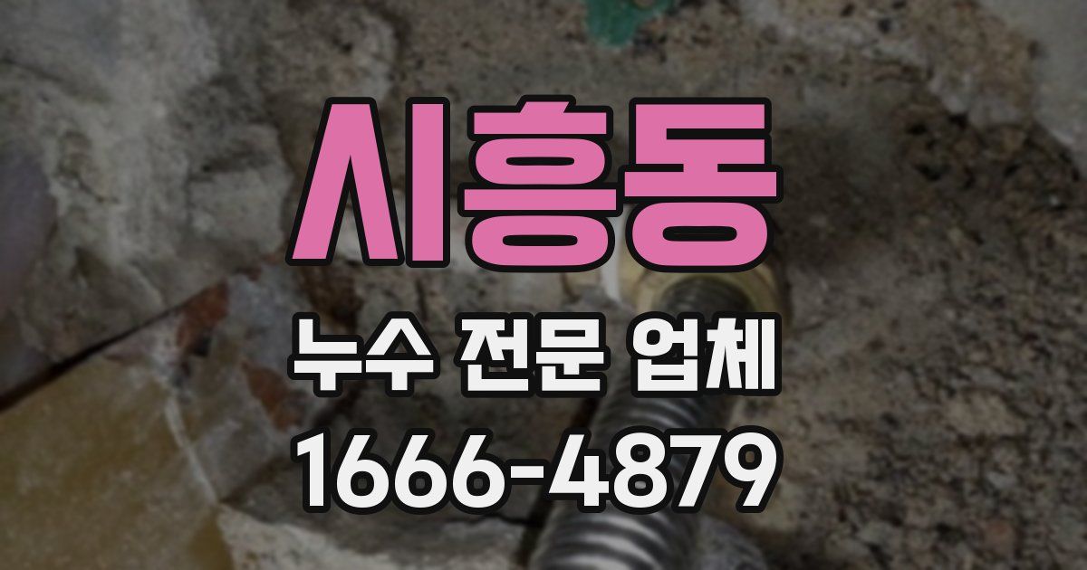 시흥동 누수 전문 업체