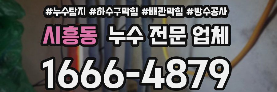 시흥동 누수 전문 업체