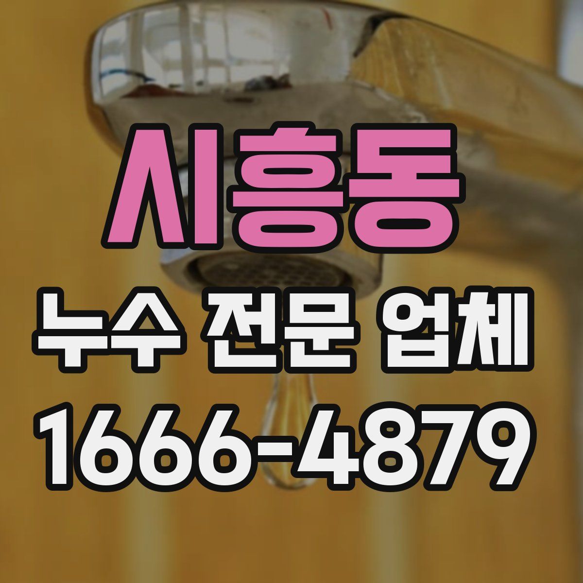 시흥동 누수 전문 업체