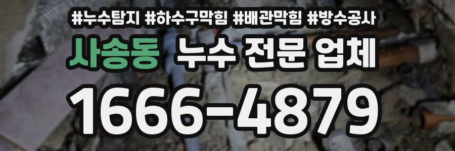 사송동 누수 전문 업체