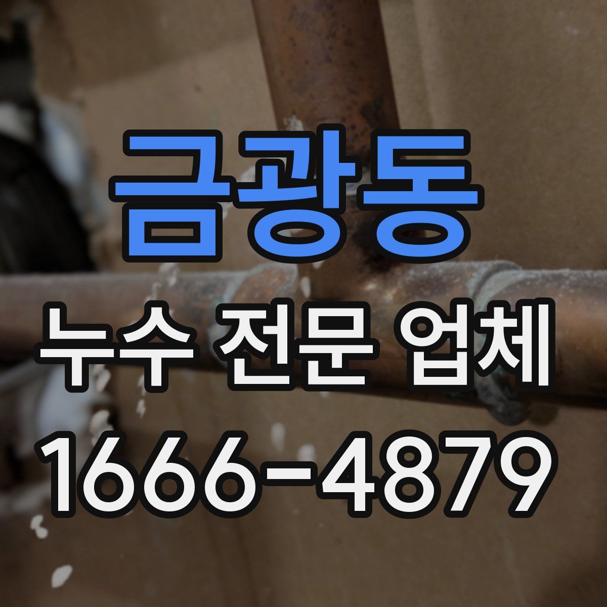 금광동 누수 전문 업체